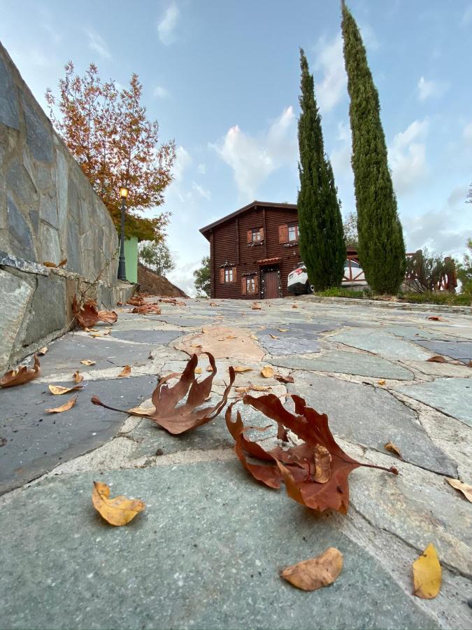 Anti Onirou Villa Flasou Buitenkant foto